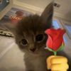 aby_6428