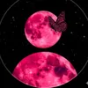 jerry_1133