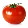 absolyte_tomato