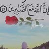 user4097729365554
