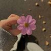 theuserisdied00
