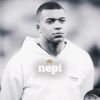 nepi648