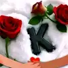 najah7330