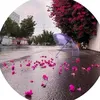 user4661329815909