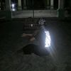 alpann28_