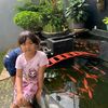 acilaacilaa5