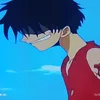 kotas982