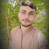 aliraza.148p