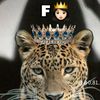 farax.apdisamed