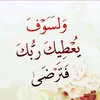 user3625236610224