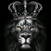 user3023101481969