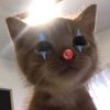 tsnaa44_