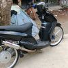 arif24551