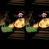 prettywz_1
