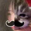 ngtinhyeulop5b