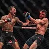 UFC_daily