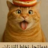 stupidname70