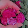 fatima345680