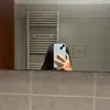 ale409357