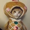 hellosss_12.r2