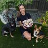 farmtopaws