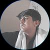 syedwajishah44
