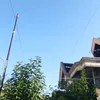 dilzzz_47