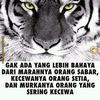 maung_479