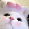 meii_754