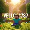 velloy4737