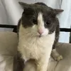 plinkoton