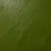 citra.satelit_id