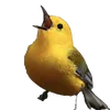 ribirdo