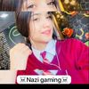 nazi_top_1