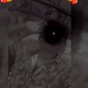 billi3681
