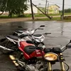 pipidatr421