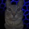 cateo.0