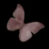 h7hus_o
