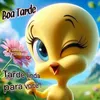 elena.aparecida.s0