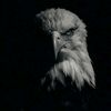 safiesthic7