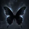 fallen_angel595