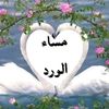 user2294936979332