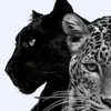 user8761848613050