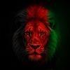imran.afg49