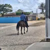 fabiogtyowq