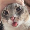sleepy_head1341