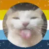 user94650811548402