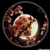 mimow238