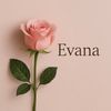 user51095222413101