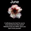khanh_my53
